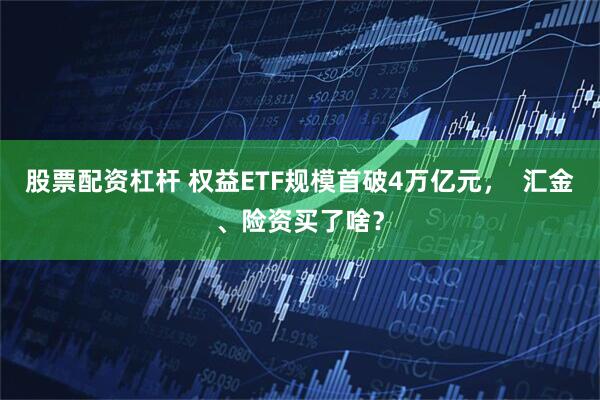 股票配资杠杆 权益ETF规模首破4万亿元，  汇金、险资买了啥？
